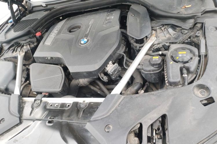 Used BMW 5 Series 2019 530Li Leading Model M Sport Package Engine Bay Left