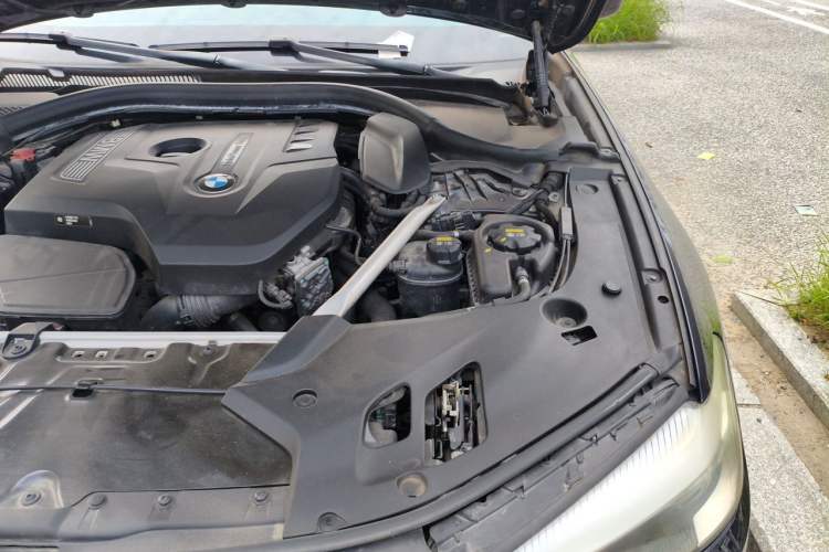 Used BMW 5 Series 2019 Facelifted 530Li Leading Edition M Sport Package Engine Bay Left