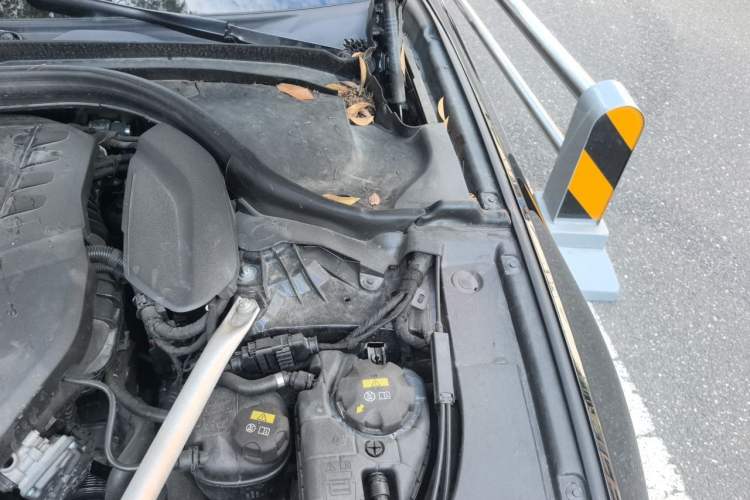 Used BMW 5 Series 2019 525Li M Sport Package Engine Bay Left