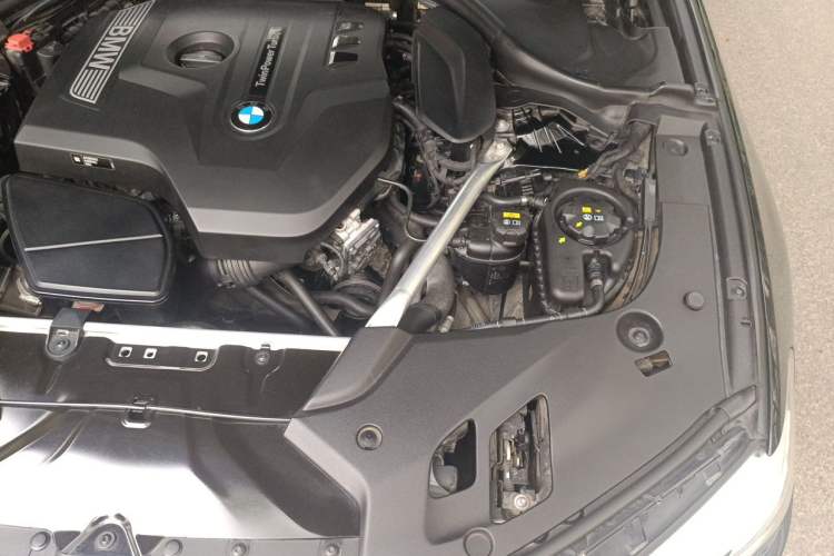 Used BMW 5 Series 2019 525Li M Sport Package Engine Bay Left