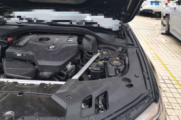 Used BMW 5 Series 2019 530Li Luxury Edition M Sport Package Engine Bay Left