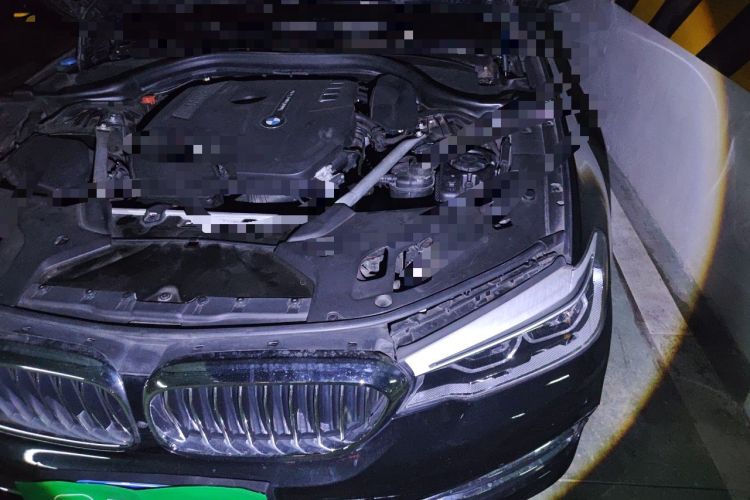 Used BMW 5 Series 2019 530Li Luxury Edition Premium Package Engine Bay Left