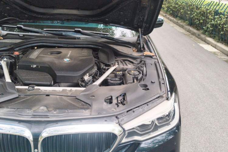 Used BMW 5 Series 2019 530Li Luxury Edition M Sport Package Engine Bay Left