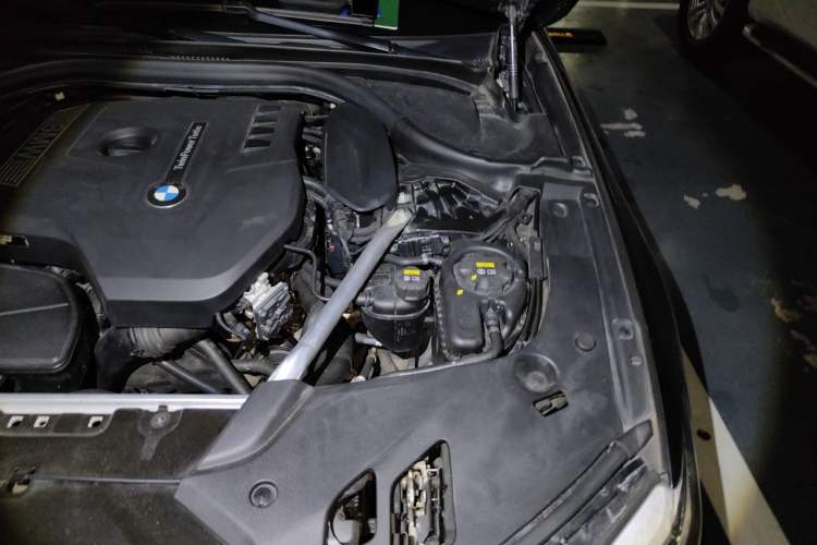 Used BMW 5 Series 2019 Facelifted 530Li Luxury Edition Premium Package Engine Bay Left