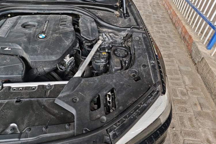 Used BMW 5 Series 2019 Facelifted 530Li xDrive M Sport Package Engine Bay Left