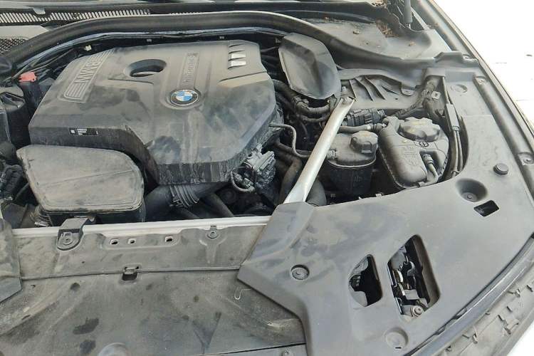 Used BMW 5 Series 2019 525Li M Sport Package Engine Bay Left
