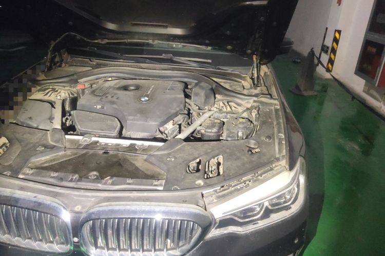 Used BMW 5 Series 2019 530Li Luxury Edition Premium Package Engine Bay Left
