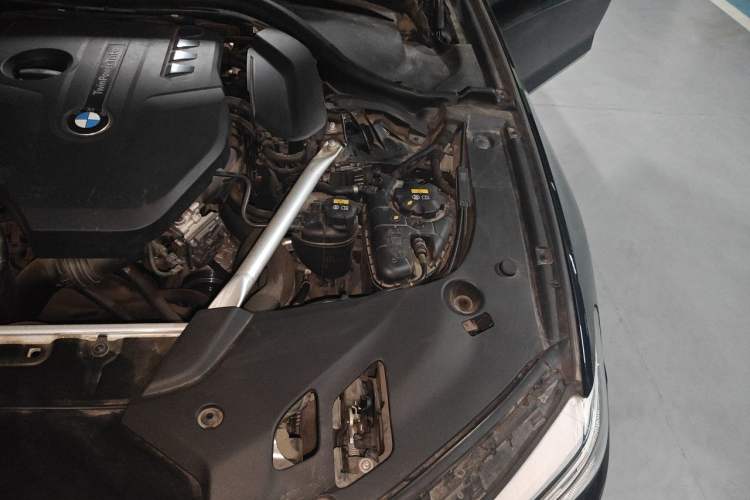 Used BMW 5 Series 2019 530Li Luxury Edition M Sport Package Engine Bay Left