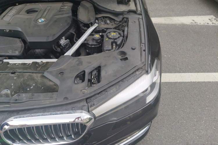 Used BMW 5 Series 2019 530Li xDrive Luxury Package Engine Bay Left