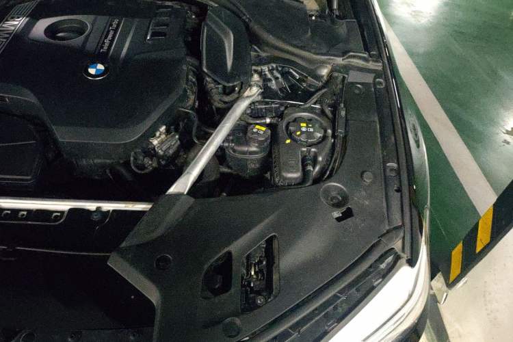 Used BMW 5 Series 2019 525Li Luxury Package Engine Bay Left