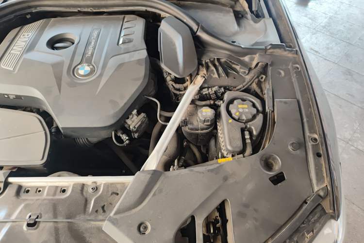 Used BMW 5 Series 2019 530Li Luxury Edition Premium Package Engine Bay Left