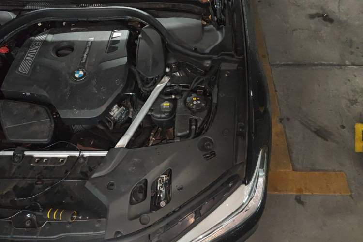 Used BMW 5 Series 2019 Facelifted 530Li Luxury Edition Premium Package Engine Bay Left