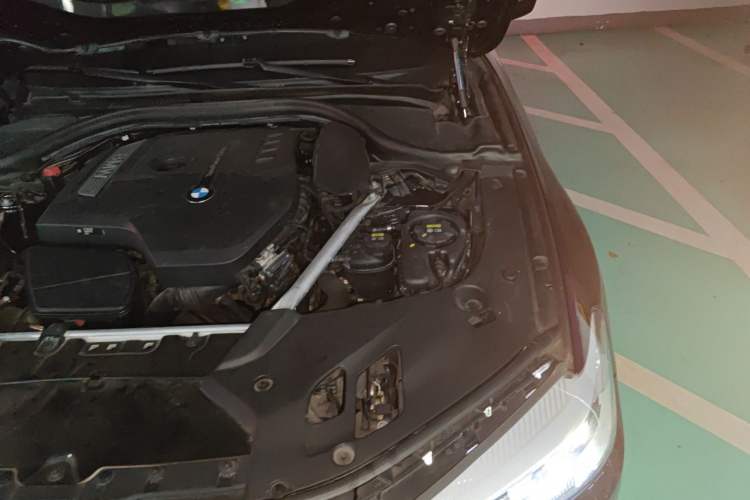 Used BMW 5 Series 2019 525Li Luxury Package Engine Bay Left