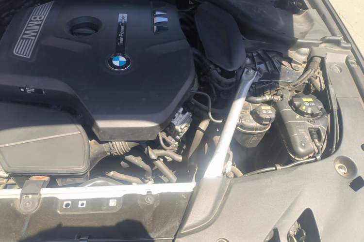 Used BMW 5 Series 2019 530Li Luxury Edition M Sport Package Engine Bay Left