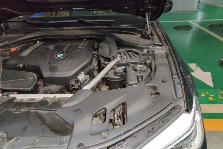 Used BMW 5 Series 2019 530Li Luxury Edition Premium Package Engine Bay Left