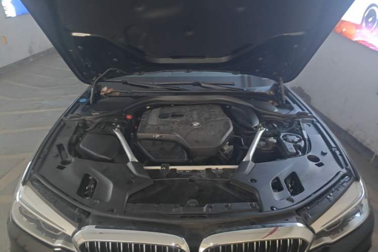 Used BMW 5 Series 2019 530Li Luxury Edition Premium Package Engine Bay