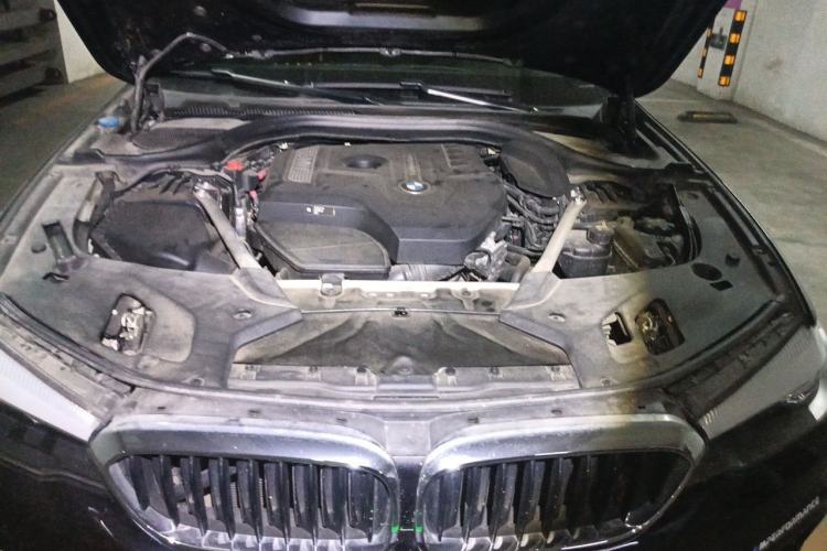 Used BMW 5 Series 2019 Facelifted 530Li Leading Edition M Sport Package Engine Bay