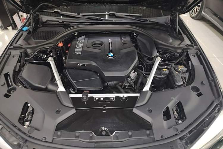 Used BMW 5 Series 2019 530Li Leading Model M Sport Package Engine Bay
