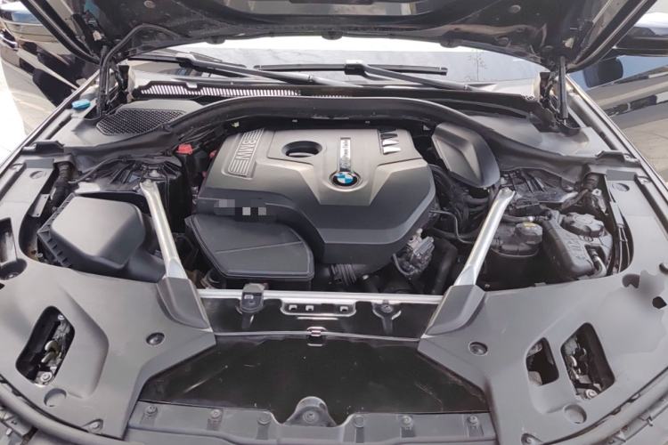 Used BMW 5 Series 2019 530Li Luxury Edition M Sport Package Engine Bay