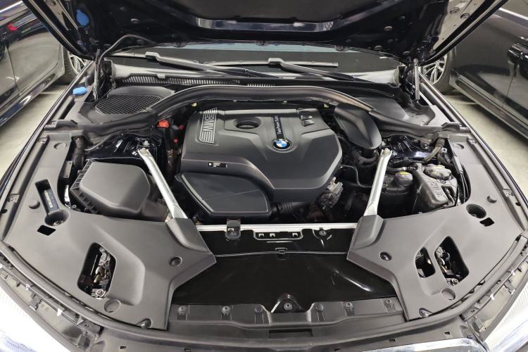 Used BMW 5 Series 2019 530Li Leading Model M Sport Package Engine Bay