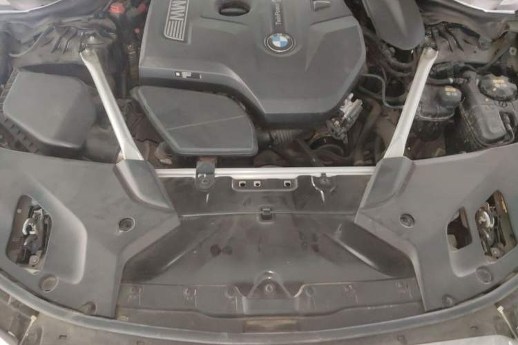 Used BMW 5 Series 2019 Facelifted 530Li Leading Edition M Sport Package Engine Bay
