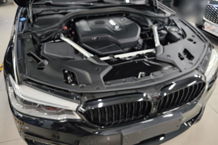 Used BMW 5 Series 2019 530Li Luxury Edition M Sport Package Engine Bay
