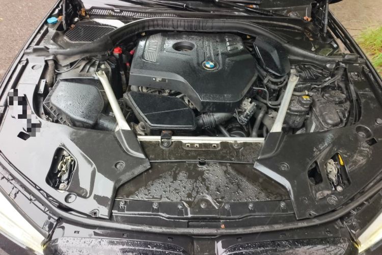 Used BMW 5 Series 2019 Facelifted 530Li Leading Edition M Sport Package Engine Bay