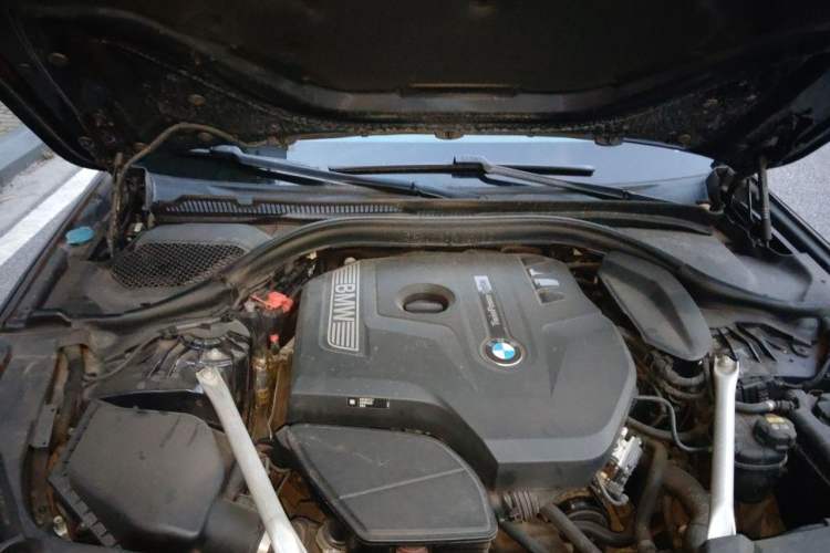 Used BMW 5 Series 2019 Facelifted 530Li Leading Edition M Sport Package Engine Bay