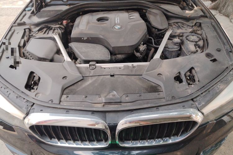 Used BMW 5 Series 2019 530Li Leading Model M Sport Package Engine Bay