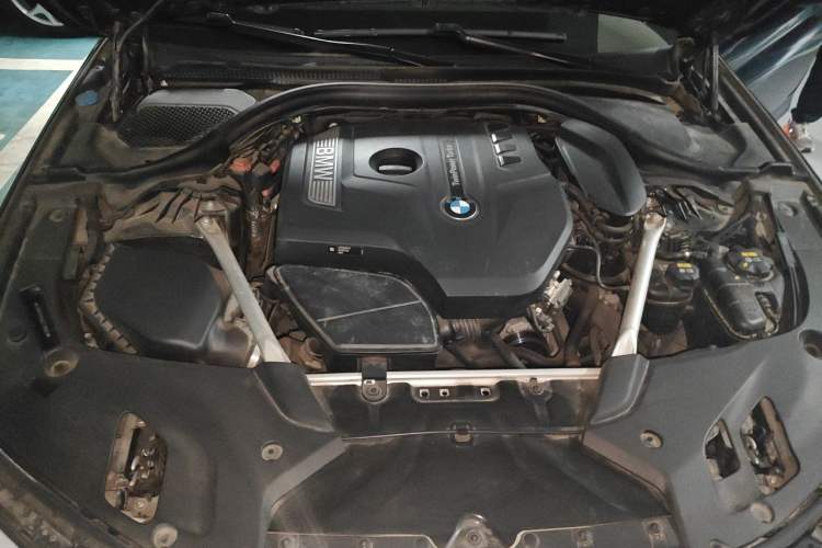 Used BMW 5 Series 2019 530Li Luxury Edition M Sport Package Engine Bay