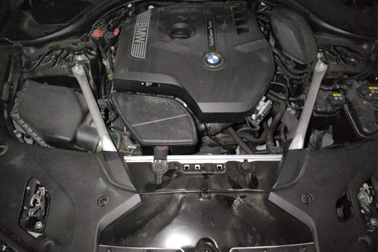 Used BMW 5 Series 2019 Restyled 530Li Luxury Edition M Sport Package Engine Bay