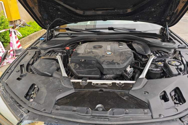 Used BMW 5 Series 2019 530Li Leading Model Luxury Package Engine Bay Right