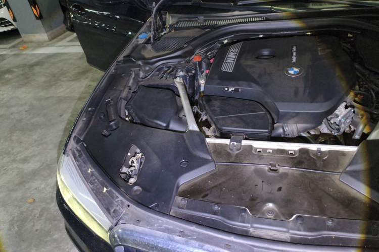 Used BMW 5 Series 2019 Facelifted 530Li Leading Edition M Sport Package Engine Bay Right