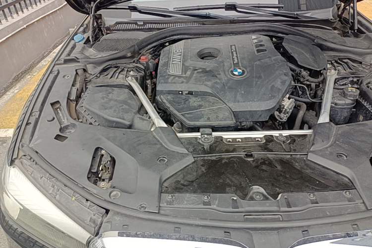 Used BMW 5 Series 2019 530Li xDrive M Sport Package Engine Bay Right