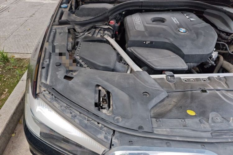 Used BMW 5 Series 2019 525Li Luxury Package Engine Bay Right