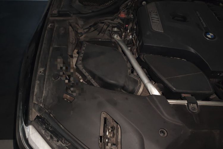 Used BMW 5 Series 2019 530i M Sport Package Engine Bay Right