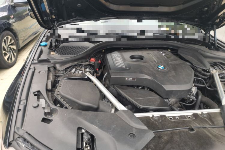 Used BMW 5 Series 2019 530Li Luxury Edition M Sport Package Engine Bay Right