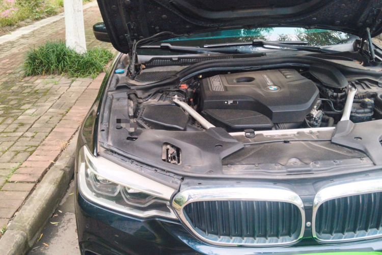 Used BMW 5 Series 2019 530Li Luxury Edition M Sport Package Engine Bay Right