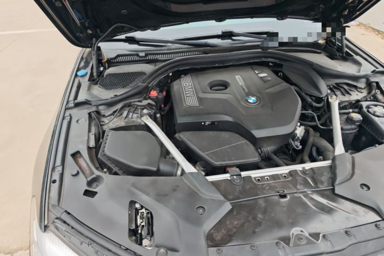 Used BMW 5 Series 2019 Facelifted 530Li Leading Edition Luxury Package Engine Bay Right