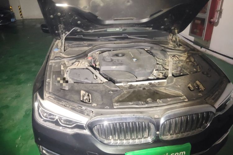 Used BMW 5 Series 2019 530Li Luxury Edition Premium Package Engine Bay Right