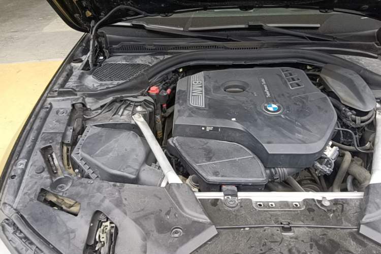 Used BMW 5 Series 2019 Facelifted 530Li Luxury Edition Premium Package Engine Bay Right