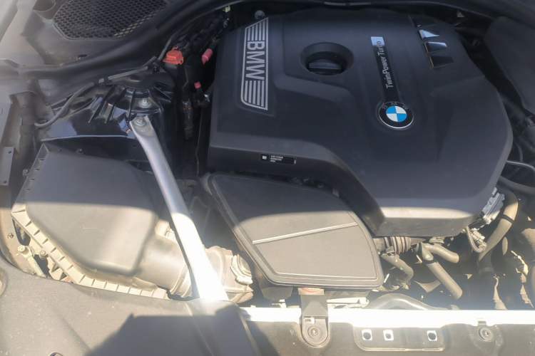 Used BMW 5 Series 2019 530Li Luxury Edition M Sport Package Engine Bay Right