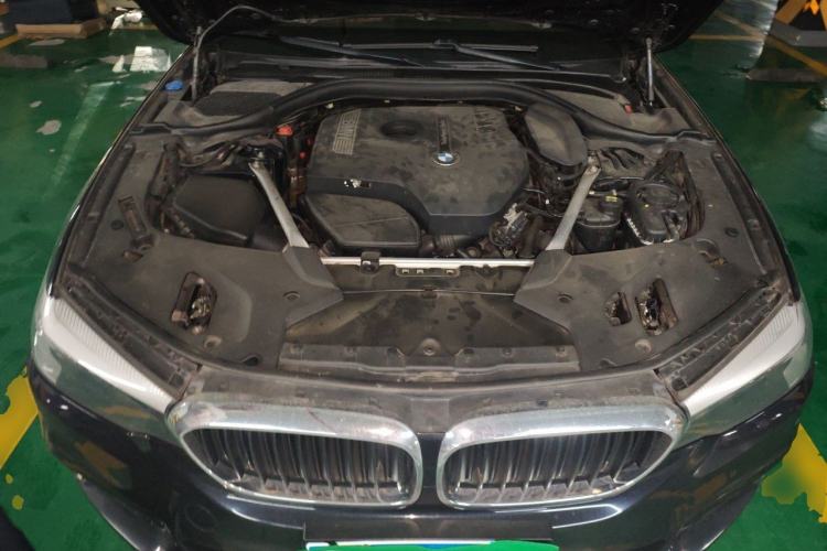 Used BMW 5 Series 2019 530Li Leading Model M Sport Package Engine Bay