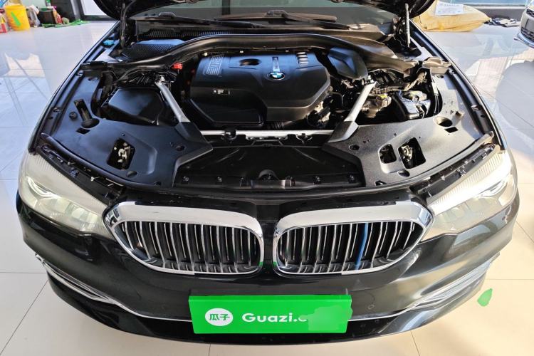Used BMW 5 Series 2019 Facelifted 530Li Leading Edition Luxury Package Engine Bay
