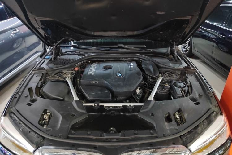 Used BMW 5 Series 2019 Facelifted 530Li Luxury Edition Premium Package Engine Bay