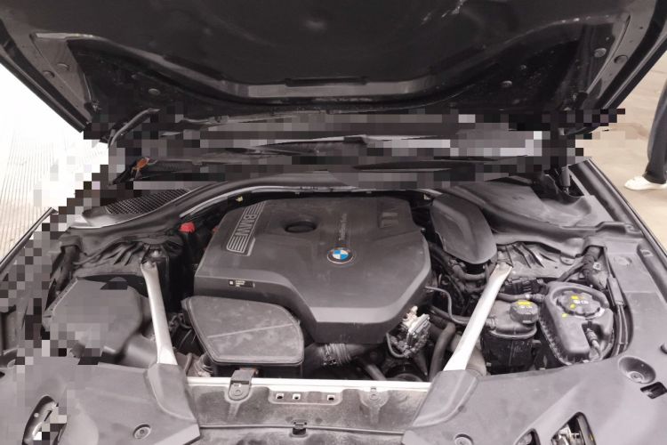 Used BMW 5 Series 2019 Facelifted 530Li Leading Edition Luxury Package Engine Bay