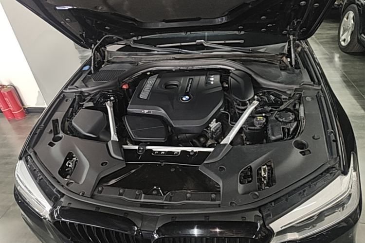 Used BMW 5 Series 2019 Restyled 530Li Luxury Edition M Sport Package Engine Bay