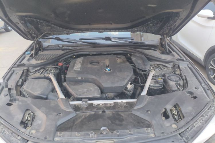 Used BMW 5 Series 2019 Facelifted 530Li Leading Edition M Sport Package Engine Bay