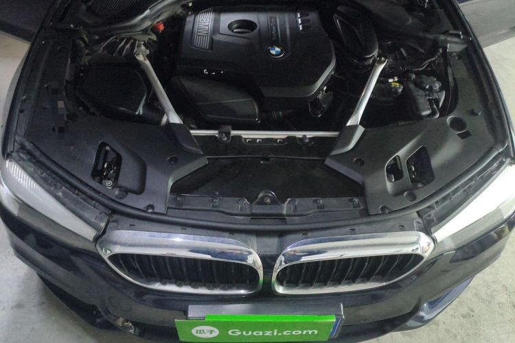 Used BMW 5 Series 2019 530Li Leading Model M Sport Package Engine Bay