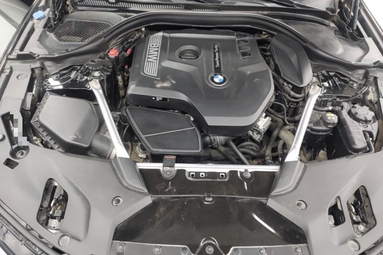 Used BMW 5 Series 2019 530Li xDrive Luxury Package Engine Bay